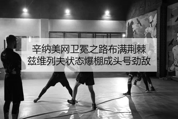 辛纳美网卫冕之路布满荆棘 兹维列夫状态爆棚成头号劲敌